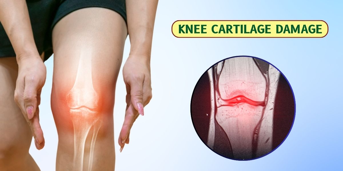 Knee Cartilage Damage Symptoms Causes And Treatment DR MURTAZA ADEEB